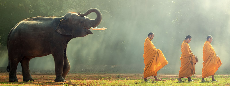 Viaggiare sicuri in Thailandia? Ecco tutto quello che c'è da sapere | Allianz Global Assistance