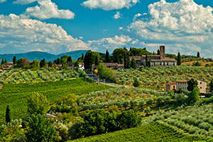Alla scoperta dei vini nel mondo: ecco i vigneti più suggestivi
 | Allianz Global Assistance