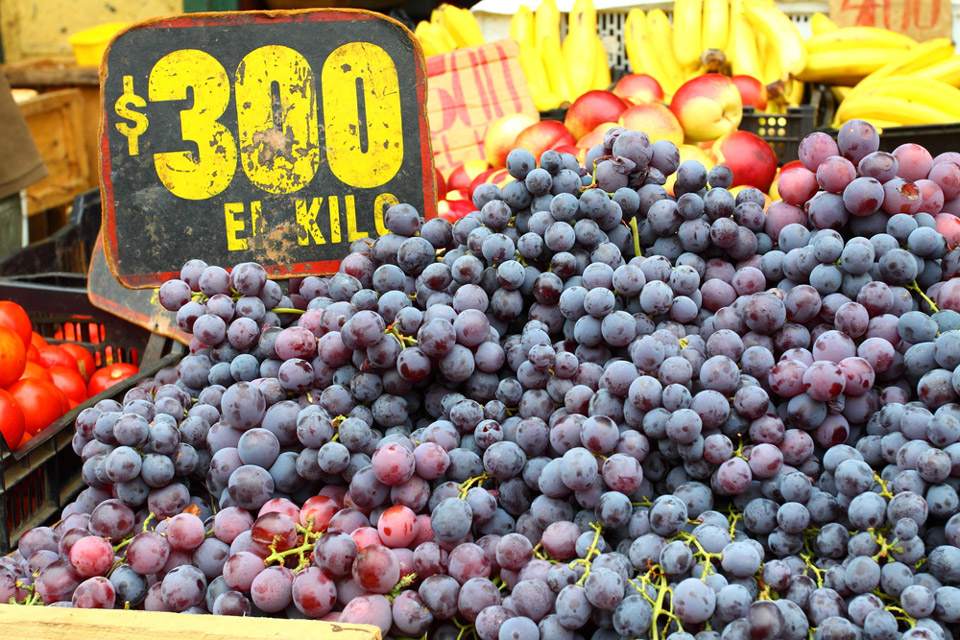 Alla scoperta dei vini nel mondo: ecco i vigneti più suggestivi | Allianz Global Assistance