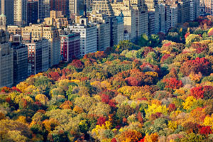 Autunno a New York: Il Columbus Day e le altre celebrazioni | Allianz Global Assistance