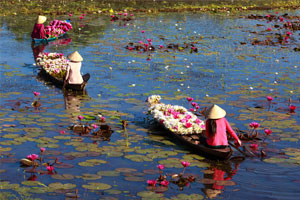 Cosa vedere in Vietnam, consigli di viaggio | Allianz Global Assistance