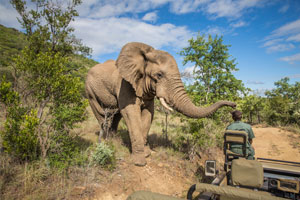 Viaggio in Sudafrica: cosa vedere, quando andare e cosa portare | Allianz Global Assistance