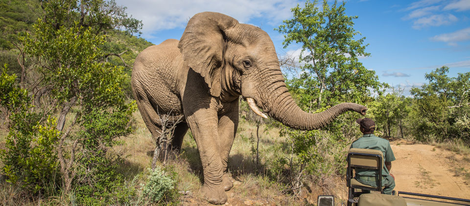 Viaggio in Sudafrica: cosa vedere, quando andare e cosa portare | Allianz Global Assistance