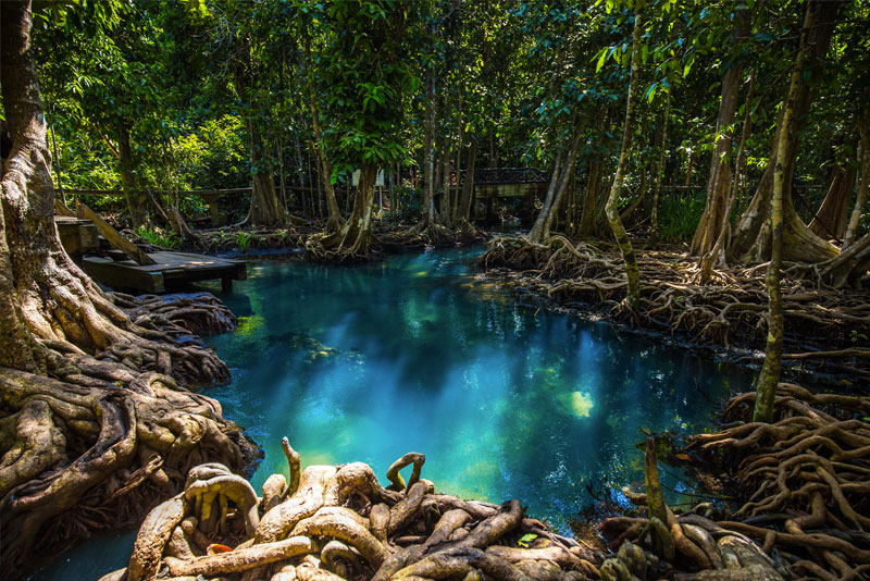 Quando andare in Thailandia: clima e temperature | Allianz Global Assistance