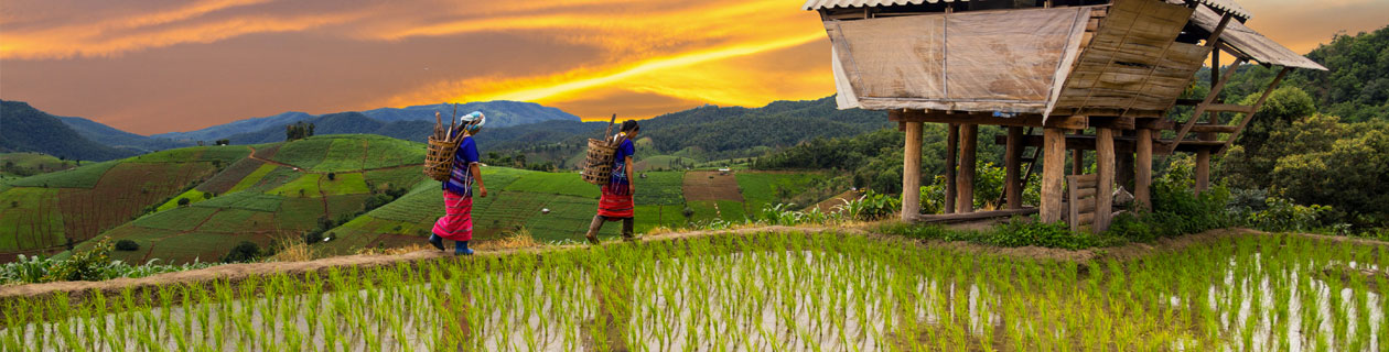 Quando andare in Thailandia: clima e temperature | Allianz Global Assistance