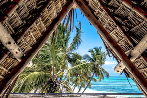 Vacanze a Zanzibar e vaccinazioni obbligatorie: quali sono? | Allianz Global Assistance