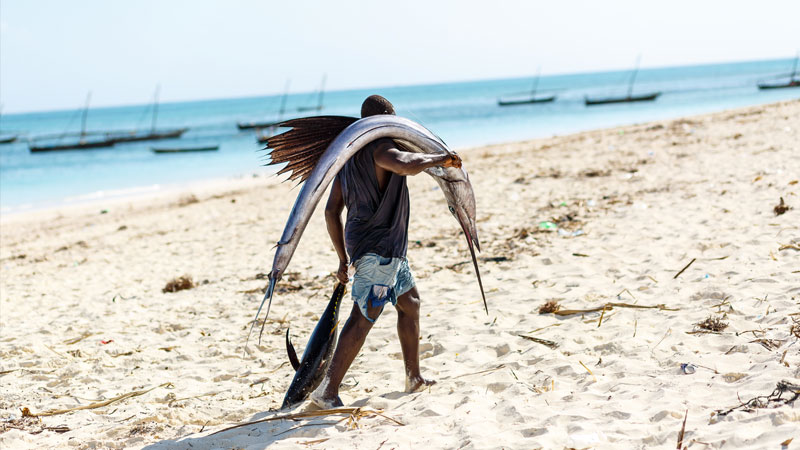 Vacanze a Zanzibar, quali sono le vaccinazioni obbligatorie? | Allianz Global Assistance