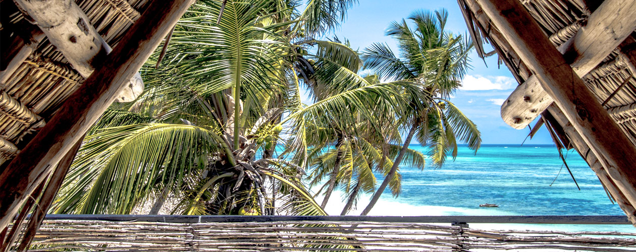 Vacanze a Zanzibar, quali sono le vaccinazioni obbligatorie? | Allianz Global Assistance
