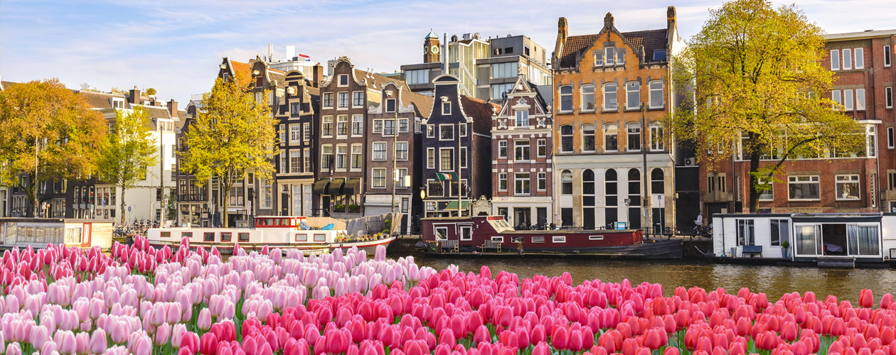 Festa dei tulipani di Amsterdam, la celebrazione più colorata dell'Olanda | Allianz Global Assistance