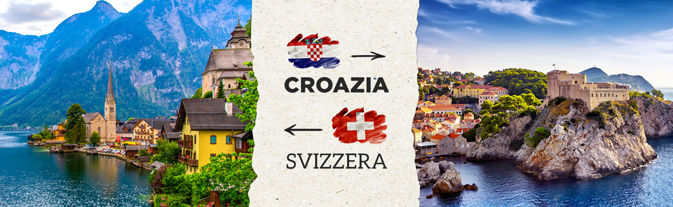 #TravelBag: come organizzare una vacanza con il cane | Allianz Global Assistance