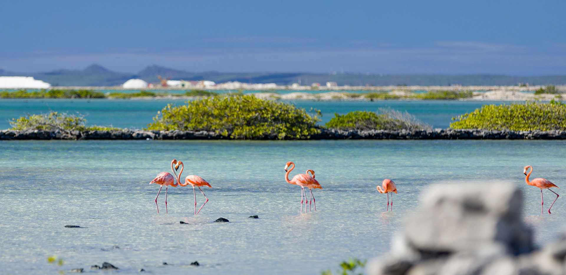 Isole caraibiche, viaggio alla scoperta di Aruba, Bonaire e Curacao | Allianz Global Assistance