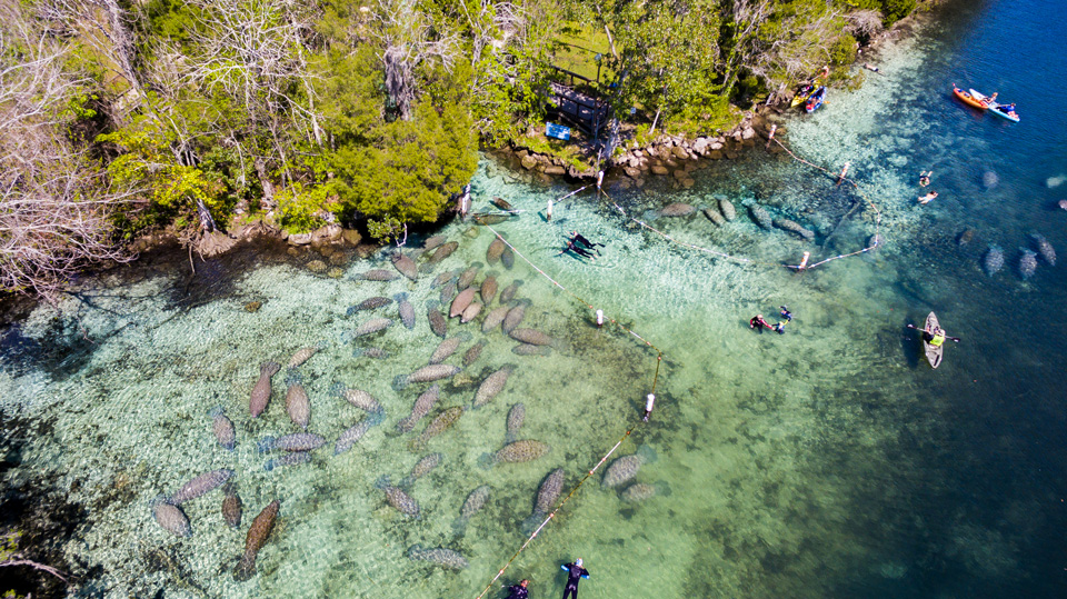 Cosa vedere in Florida: un tour fra città e natura | Allianz Global Assistance