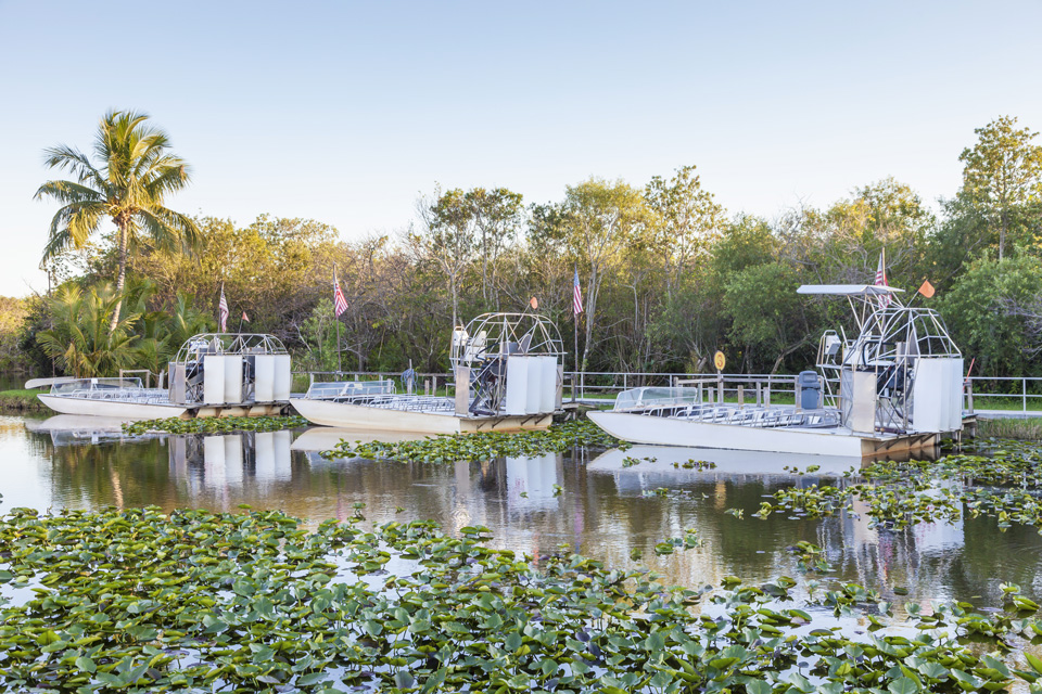Cosa vedere in Florida: un tour fra città e natura | Allianz Global Assistance
