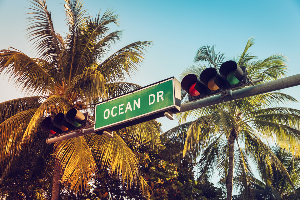 Cosa vedere in Florida: un tour fra città e natura | Allianz Global Assistance