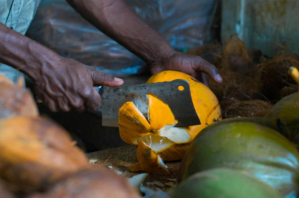 Vacanze a Mauritius: viaggio gastronomico (e non) verso un’isola paradisiaca | Allianz Global Assistance