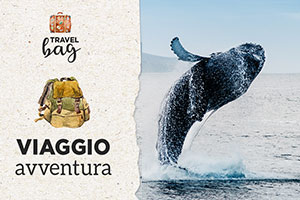 #TravelBag: come organizzare un viaggio avventura
| Allianz Global Assistance