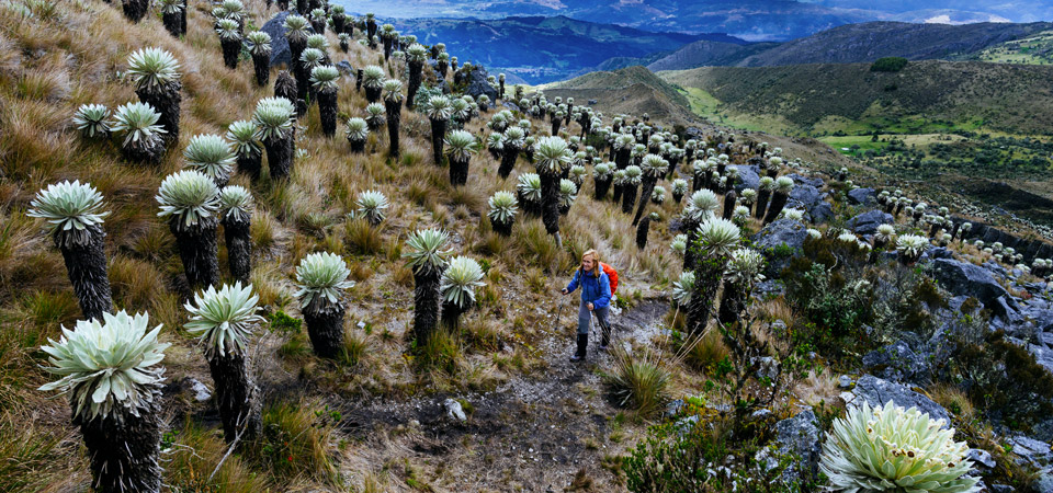 Viaggio in Colombia, vaccinazioni e condizioni sanitarie | Allianz Global Assistance