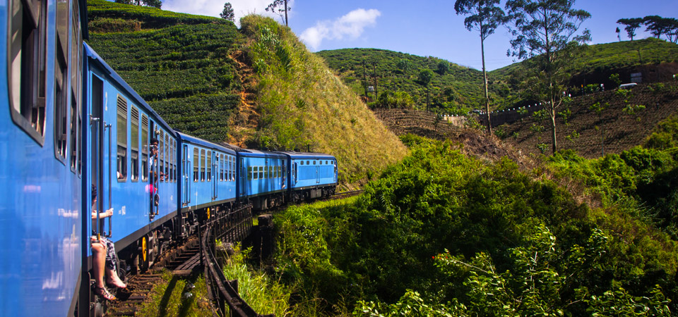 Quali sono i documenti necessari per un tour dello Sri Lanka? | Allianz Global Assistance