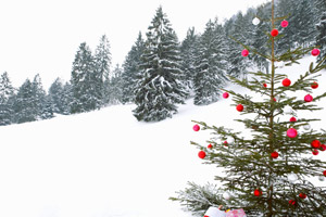 Vacanze di Natale, dove andare in montagna? | Allianz Global Assistance