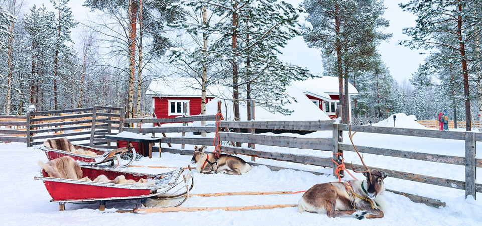 Vacanze di Natale, dove andare in montagna? | Allianz Global Assistance