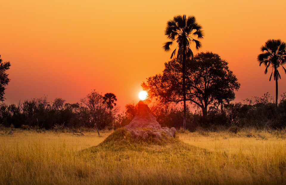 Quali sono i documenti necessari per andare in Kenya? | Allianz Global Assistance