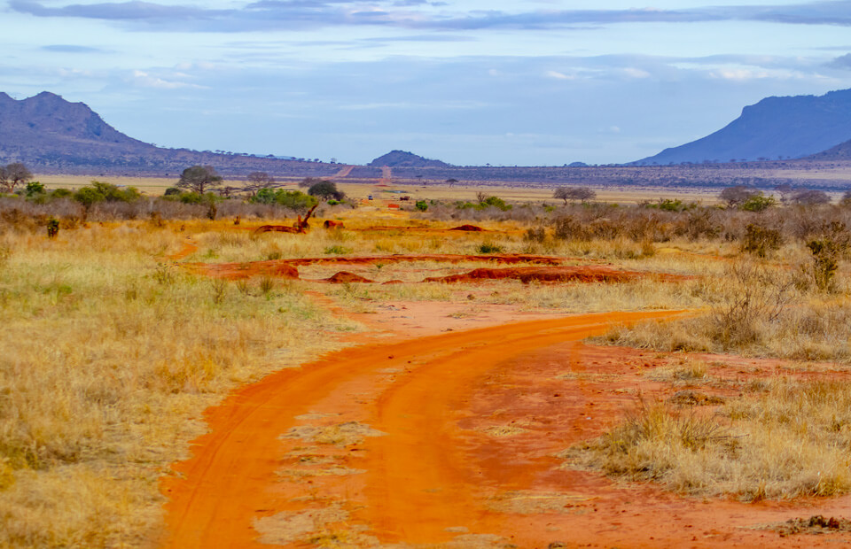 Quali sono i documenti necessari per andare in Kenya? | Allianz Global Assistance