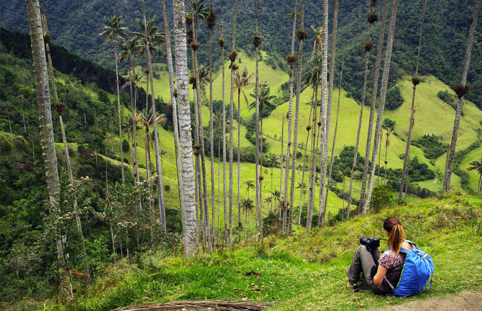 Quando andare in Colombia? Tutto sul clima | Allianz Global Assistance