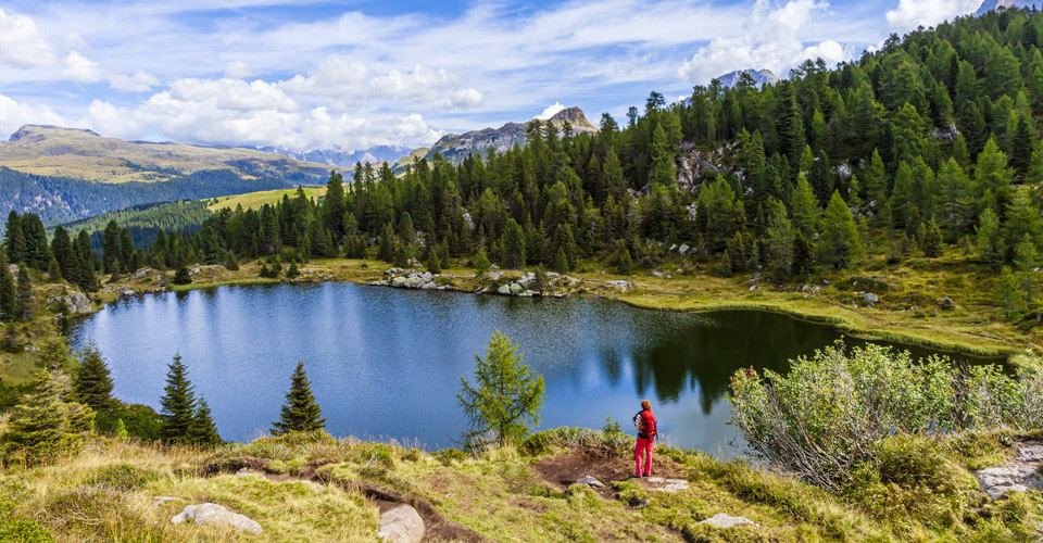 Cosa vedere in Trentino, fra natura e cultura | Allianz Global Assistance