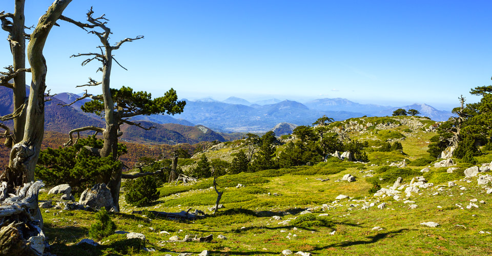 Quali sono i luoghi da visitare in autunno in Italia più suggestivi? | Allianz Global Assistance