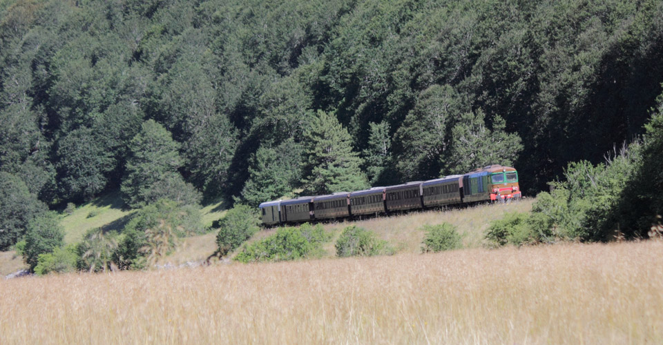 Viaggi in treno in Italia, riscoprire il Bel Paese su treni storici | Allianz Global Assistance