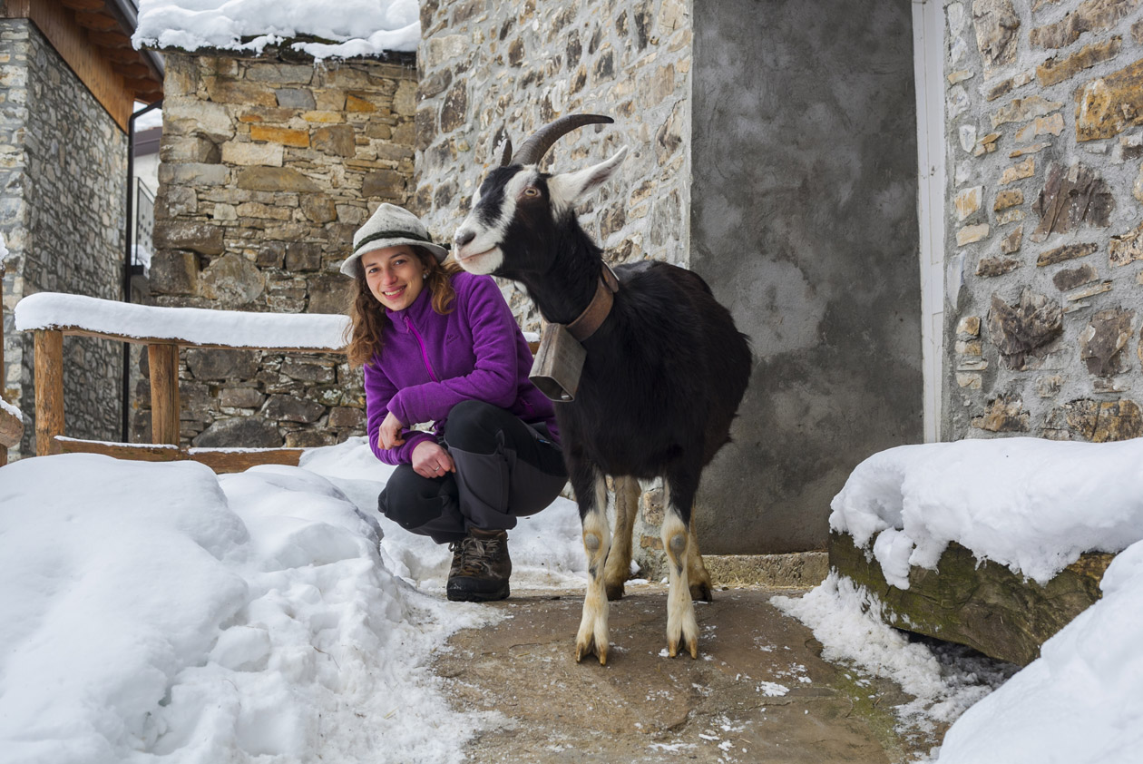 L'amore per la montagna e per le capre: la storia dell'allevatrice Gloria Pisotti. | Allianz Global Assistance