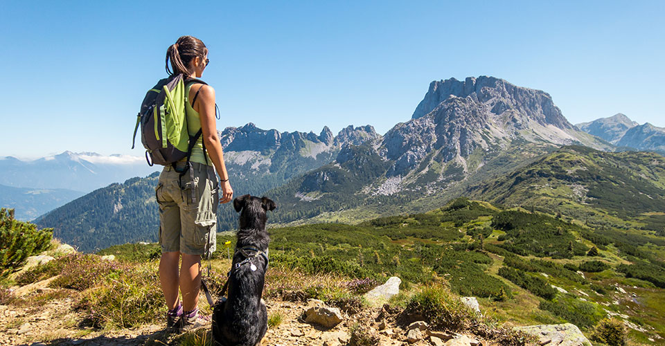 Camminare in montagna, allenamento e percorsi italiani | Allianz Global Assistance