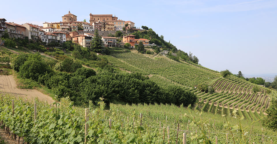 Tour delle Langhe, un’esperienza tra le colline piemontesi | Allianz Global Assistance