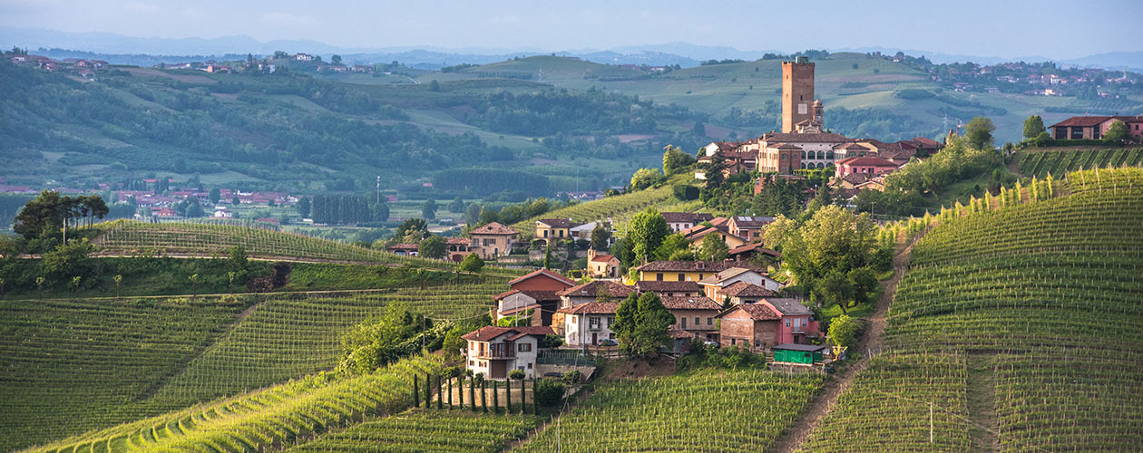 Tour delle Langhe, un’esperienza tra le colline piemontesi | Allianz Global Assistance