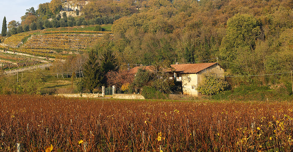 Cosa vedere tra lago d’Iseo e Franciacorta, tra natura e gusto  | Allianz Global Assistance