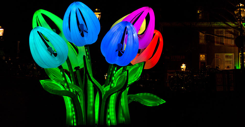 Festival delle luci di Amsterdam: il tour a piedi nella capitale olandese | Allianz Global Assistance