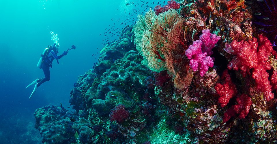 Thailandia in inverno: alla scoperta di Khao Lak e Isole Similan| Allianz Global Assistance
