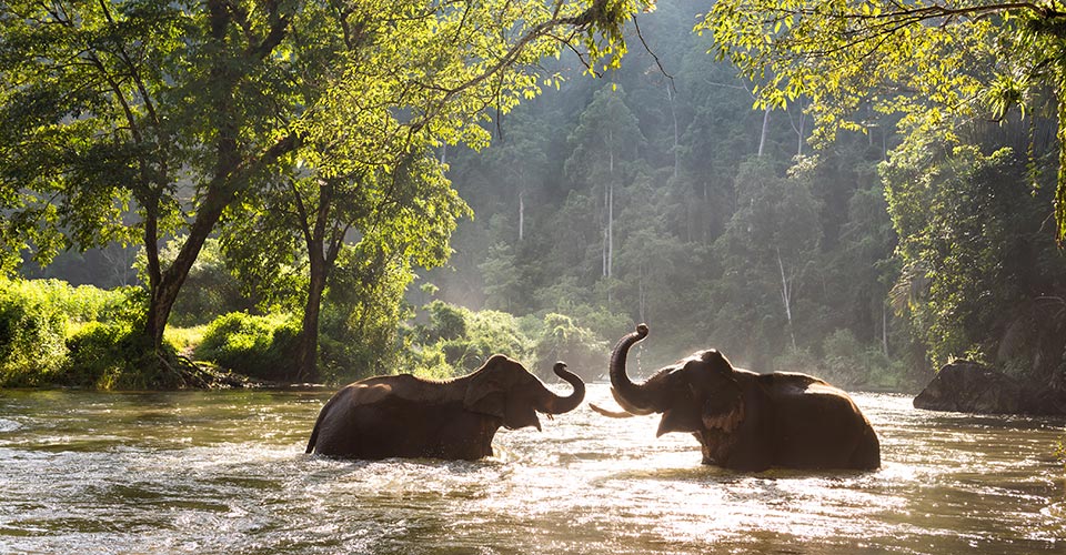 Thailandia in inverno: alla scoperta di Khao Lak e Isole Similan| Allianz Global Assistance