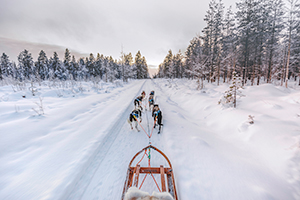 Sleddog: tutte le località montane dove praticarlo  | Allianz Global Assistance