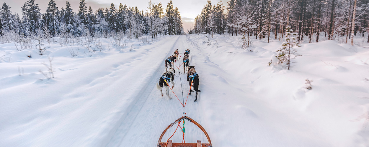 Sleddog: tutte le località montane dove praticarlo | Allianz Global Assistance