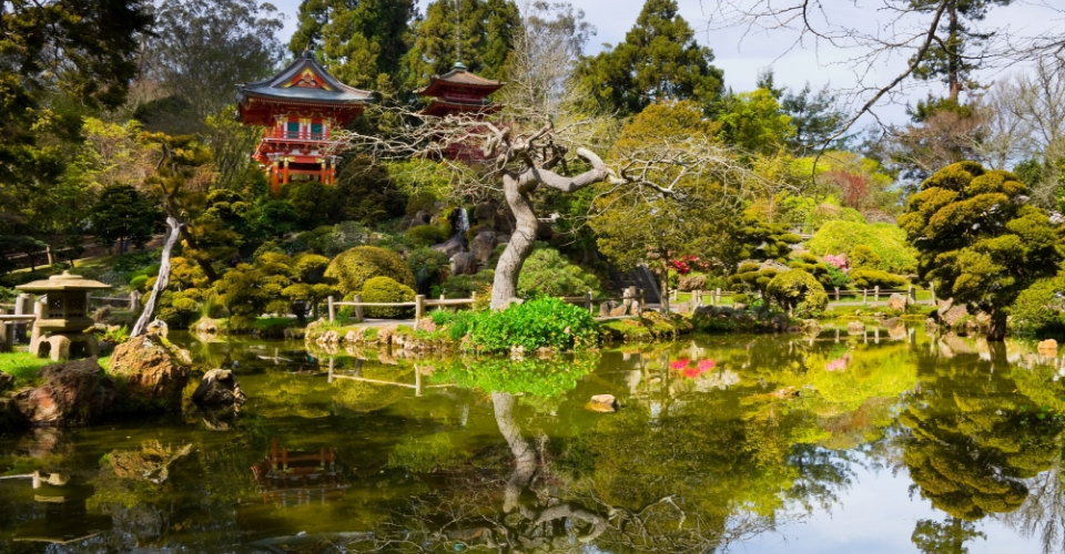 Le attrazioni imperdibili al Golden Gate Park di San Francisco | Allianz Global Assistance