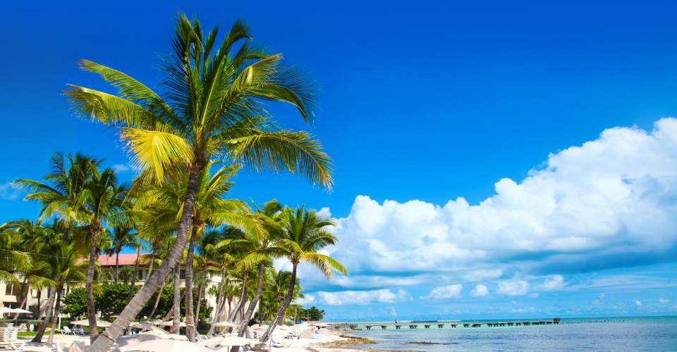 Cosa fare a Key West: spiagge caraibiche e attrazioni imperdibili | Allianz Global Assistance