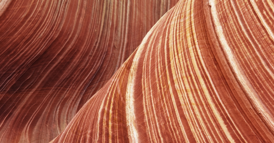 Coyote Buttes: la gigantesca pietra in arenaria dell’Arizona  | Allianz Global Assistance