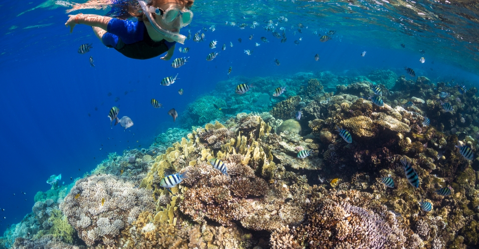 Dove fare snorkeling nel Mediterraneo? Le spiagge più belle  | Allianz Global Assistance