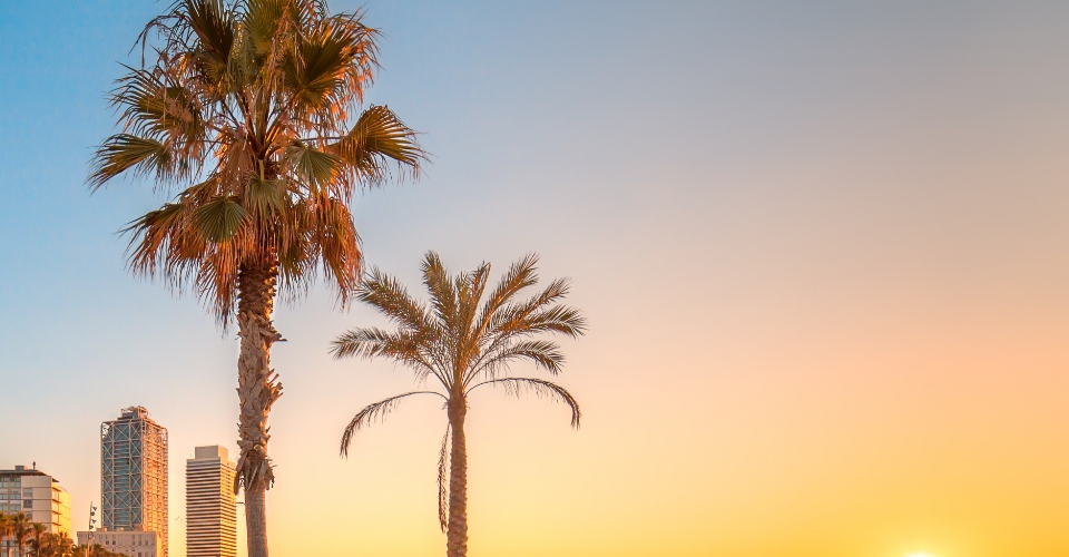 Dove andare in vacanza con gli amici? Le tre mete del divertimento | Allianz Global Assistance