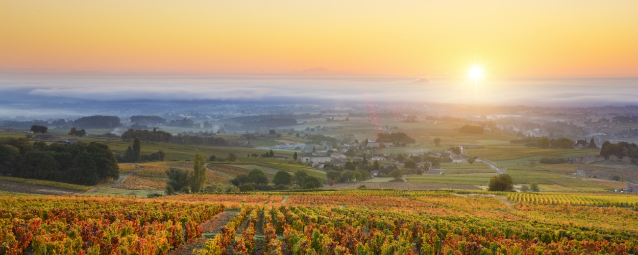 Borgogna: cosa vedere nella regione francese vitivinicola per eccellenza | Allianz Global Assistance