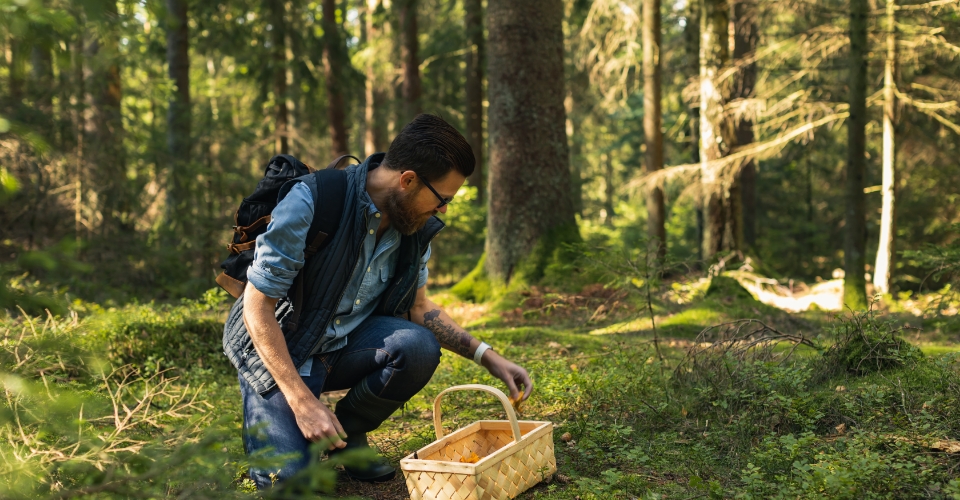 Dove trovare i tartufi e i funghi in Italia? Consigli utili per amanti della raccolta  | Allianz Global Assistance