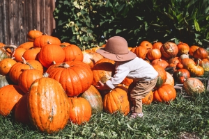 Dove andare ad Halloween? Il Festival della Zucca a Ludwigsburg | Allianz Global Assistance