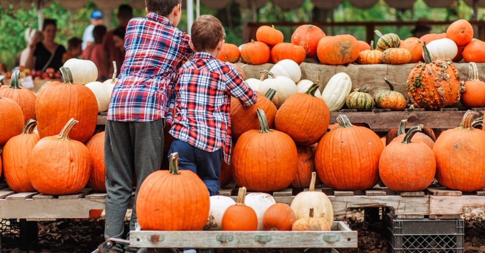 Dove andare ad Halloween? Il Festival della Zucca a Ludwigsburg   | Allianz Global Assistance