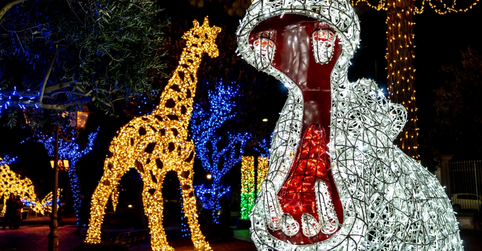 Tour di Dyker Heights per vivere la magia del Natale a NY | Allianz Global Assistance
